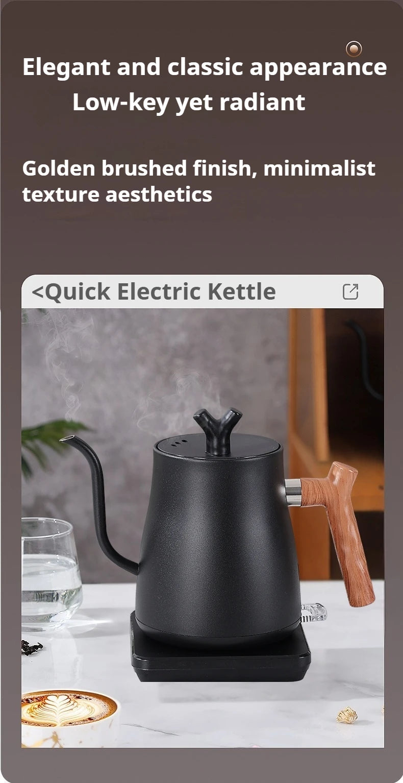 Bouilloire Électrique Intelligente 1000ml - Contrôle Température