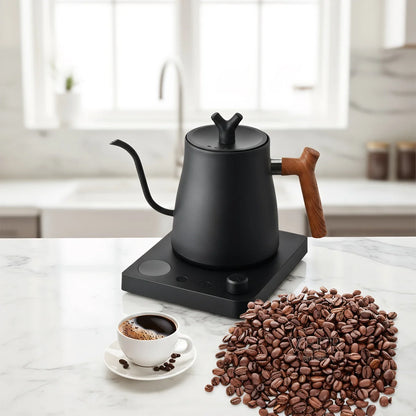 Bouilloire Électrique Intelligente 1000ml - Contrôle Température